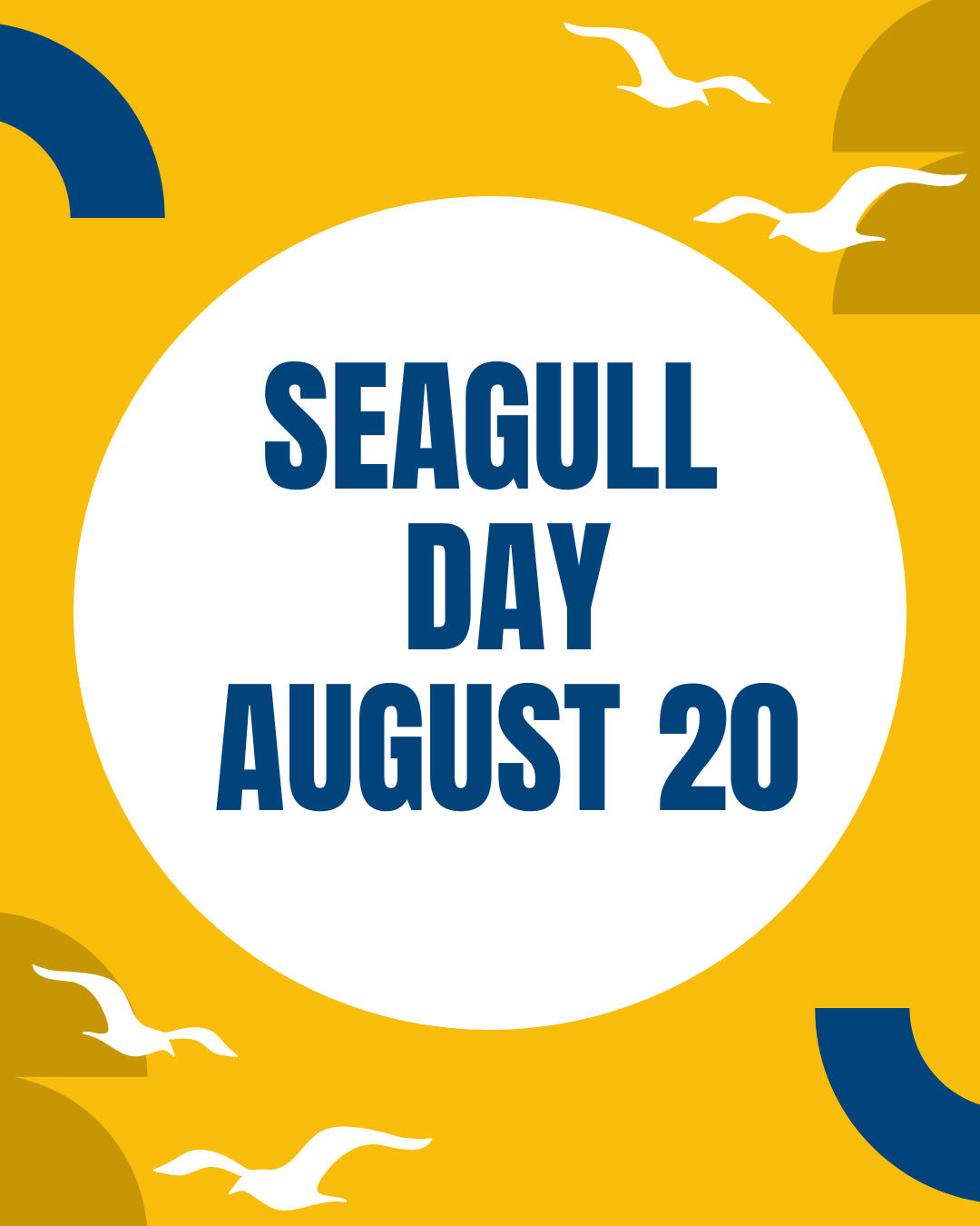  Seagull Day